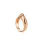 The Dune Ring - Ilanzoni