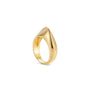 The Dune Ring - Ilanzoni