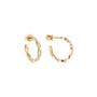 The Look Of Love Pavé Hoops - Ilanzoni